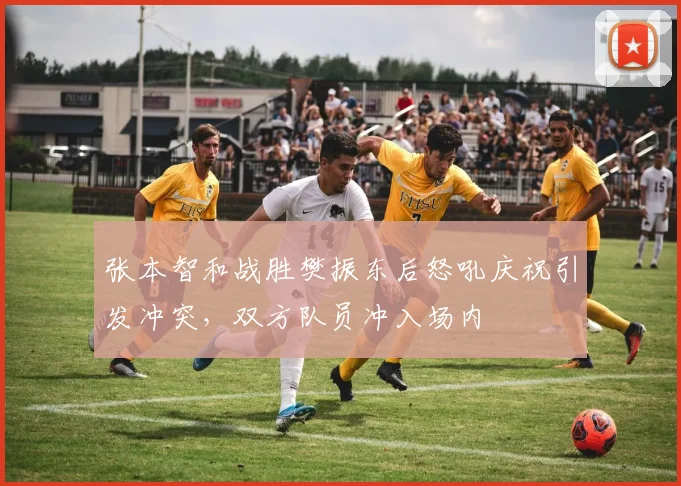 张本智和战胜樊振东后怒吼庆祝引发冲突，双方队员冲入场内